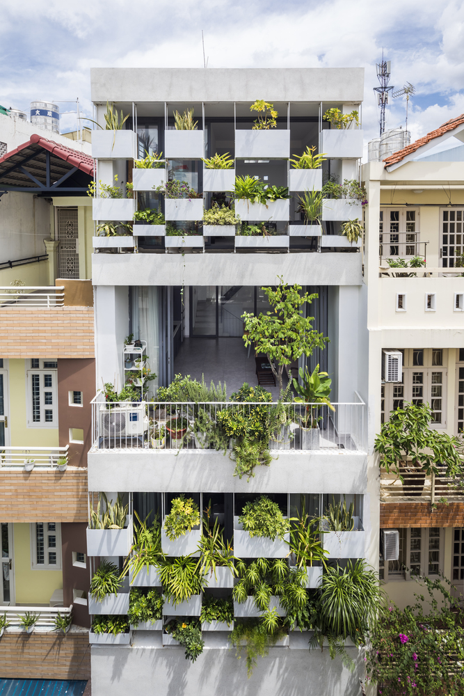 Thiết kế cây xanh mặt đứng cho mẫu nhà lô phố
